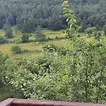 за гости шейтанови Trŭn