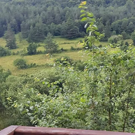 за гости шейтанови Trŭn